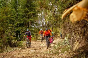 Group of cyclists riding mountain bikes on a forest trail near Cusco, Peru.